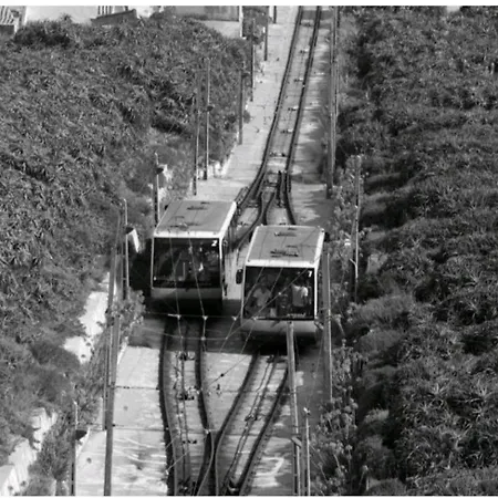 Amada * Nazare